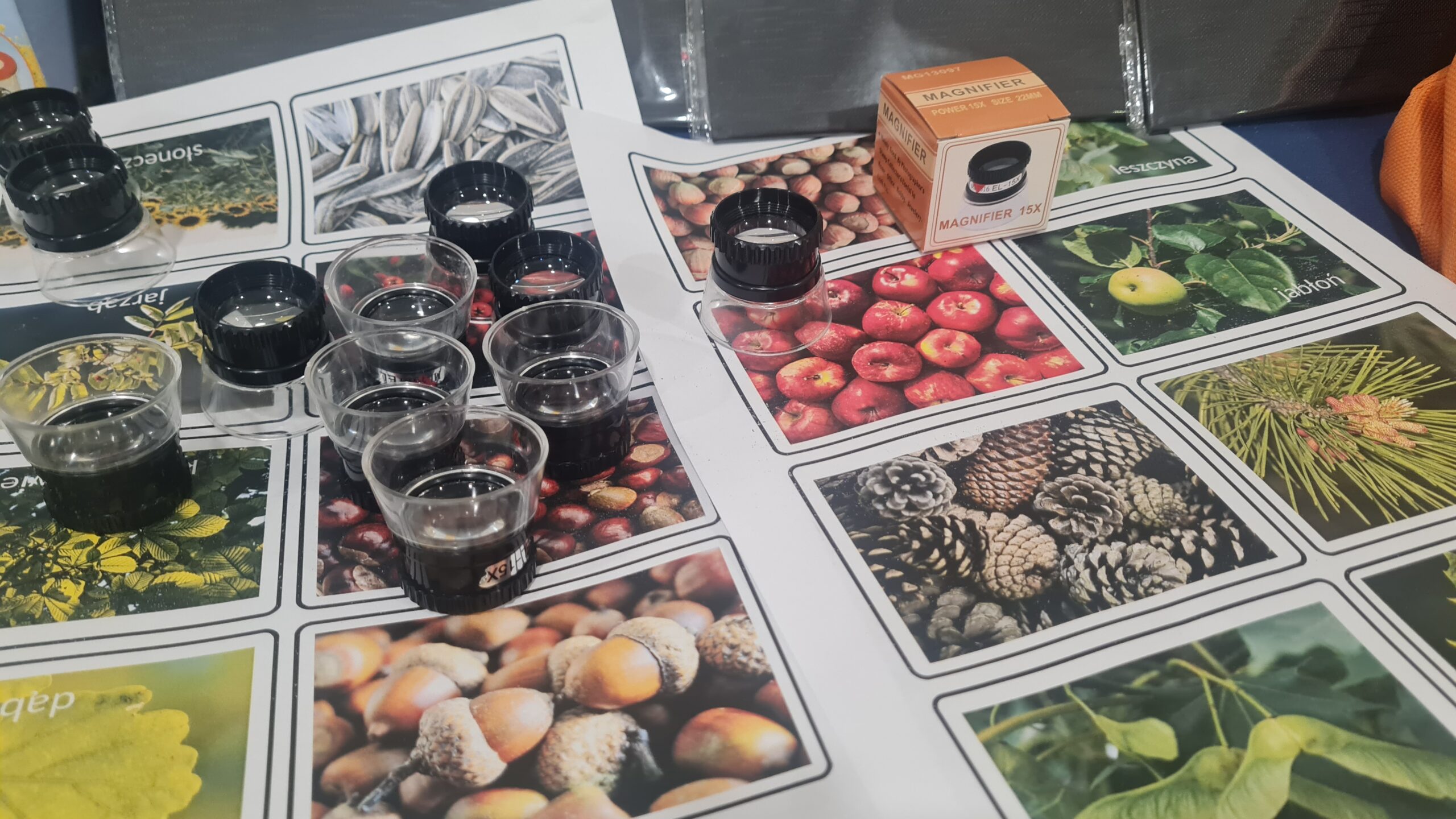 Zielone Laboratorium – szkoła w terenie! 