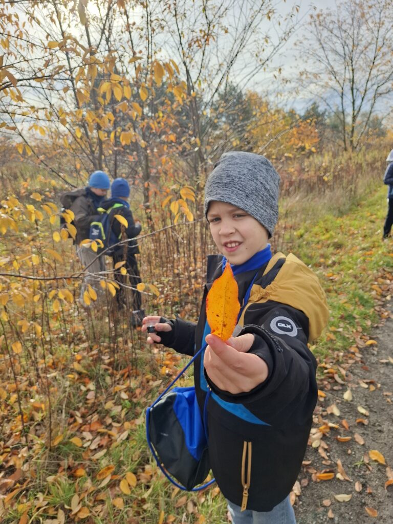 Zielone Laboratorium – szkoła w terenie!