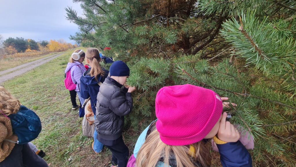 Zielone Laboratorium – szkoła w terenie!