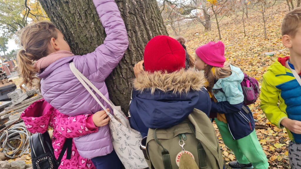 Zielone Laboratorium – szkoła w terenie!