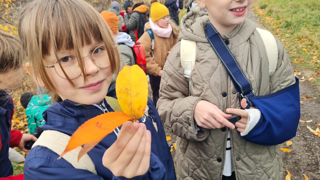 Zielone Laboratorium – szkoła w terenie!