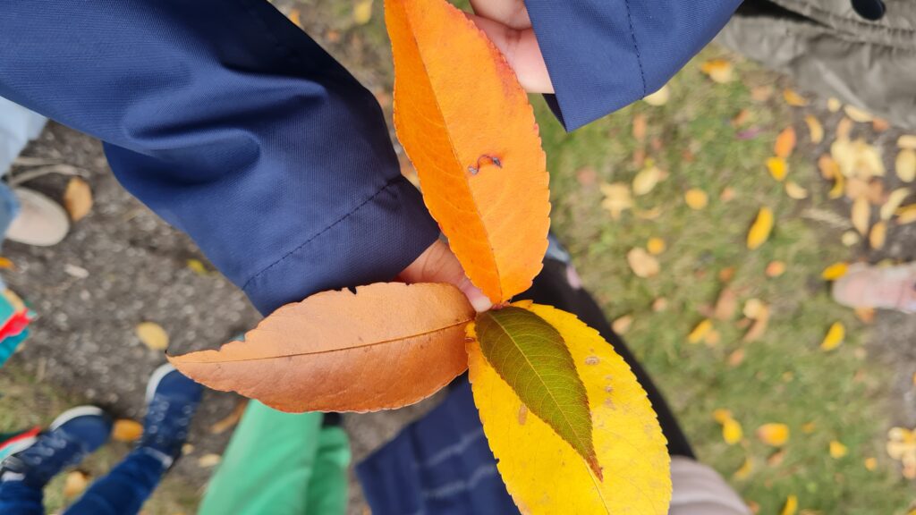 Zielone Laboratorium – szkoła w terenie!