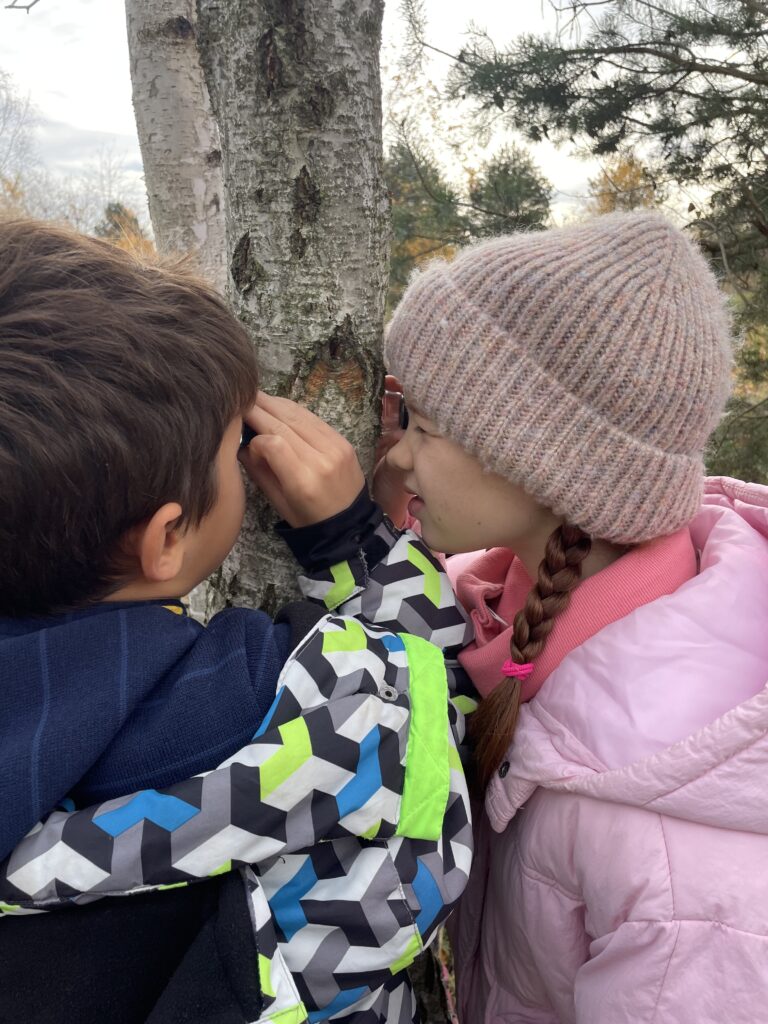 Zielone Laboratorium – szkoła w terenie!