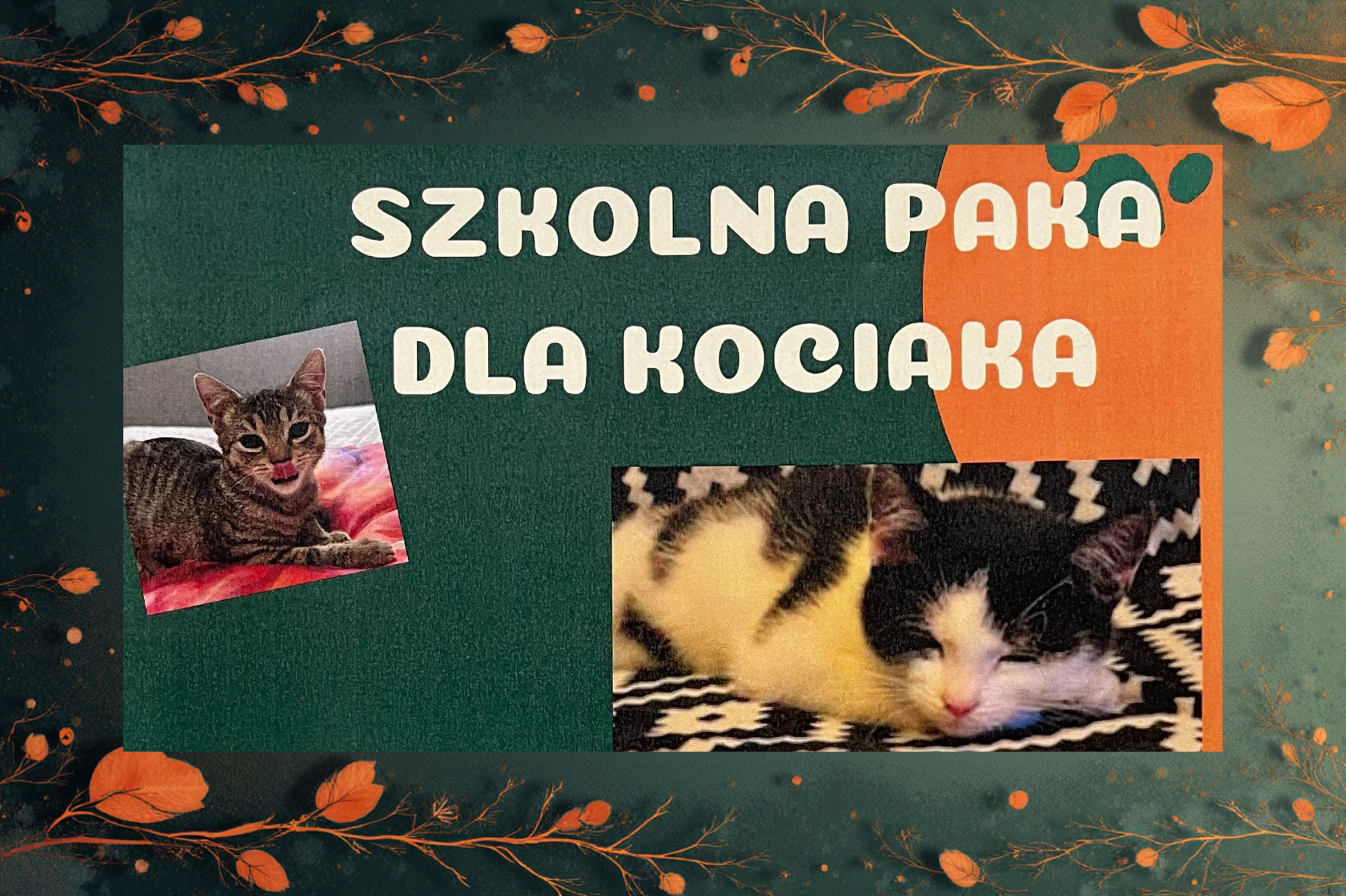 Akcja "Szkolna Paka Dla Kociaka"