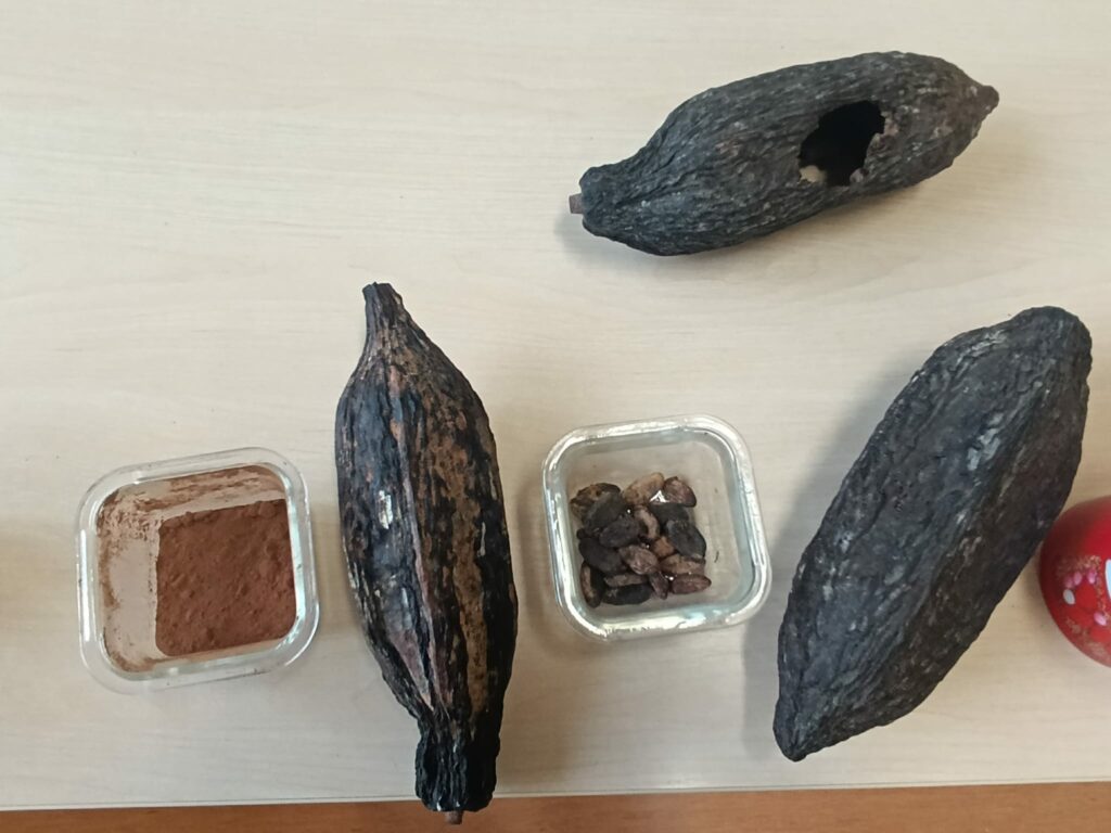 Warsztaty czekoladowe w klasach 1c, 3c i 3d