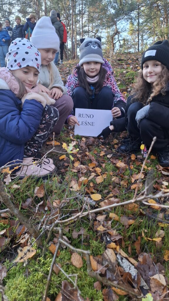 Wycieczka klasy 3a do Kampinoskiego Parku Narodowego