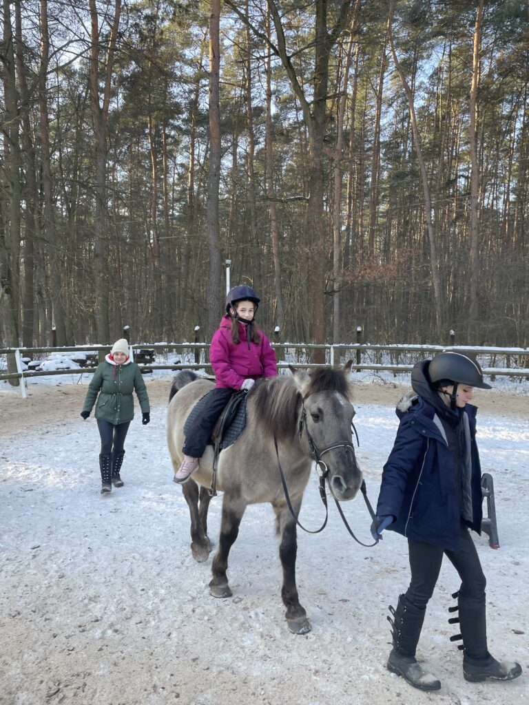 Akcja "Zima w mieście 2026"
