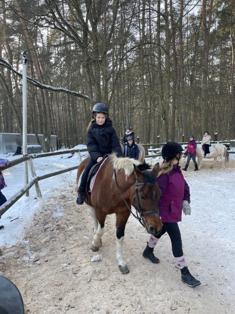 Akcja "Zima w mieście 2026"