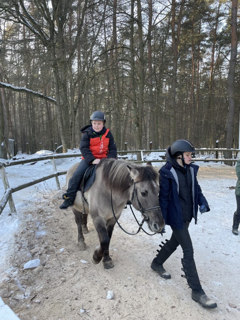 Akcja "Zima w mieście 2026"