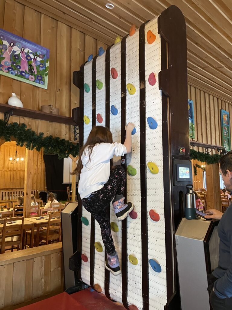 Akcja "Zima w mieście 2026"