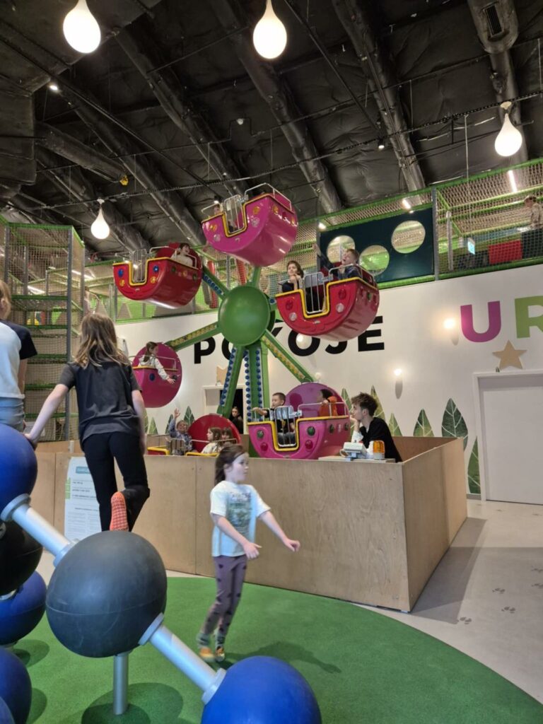 Akcja "Zima w mieście 2026"