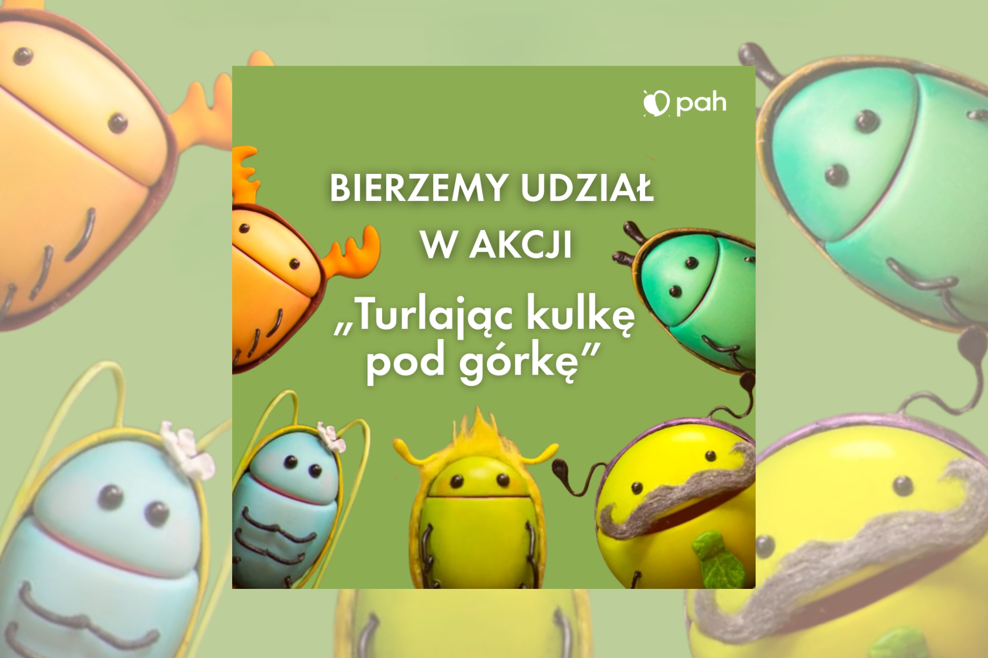 „Turlając kulkę pod górkę" – lekcja empatii i współpracy z Żuczkami