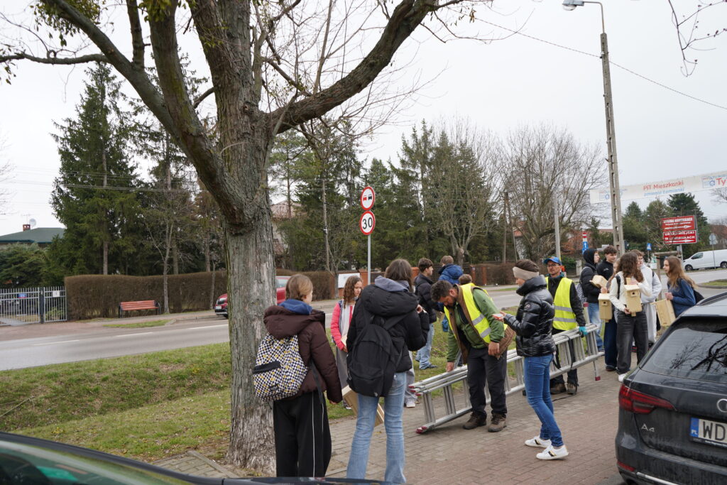 Wieszamy budki lęgowe