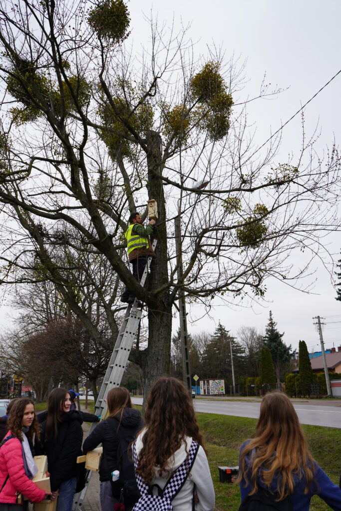 Wieszamy budki lęgowe