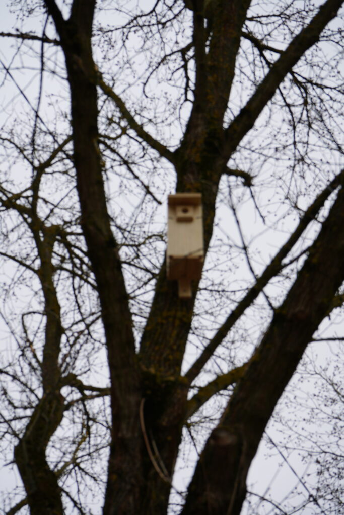 Wieszamy budki lęgowe