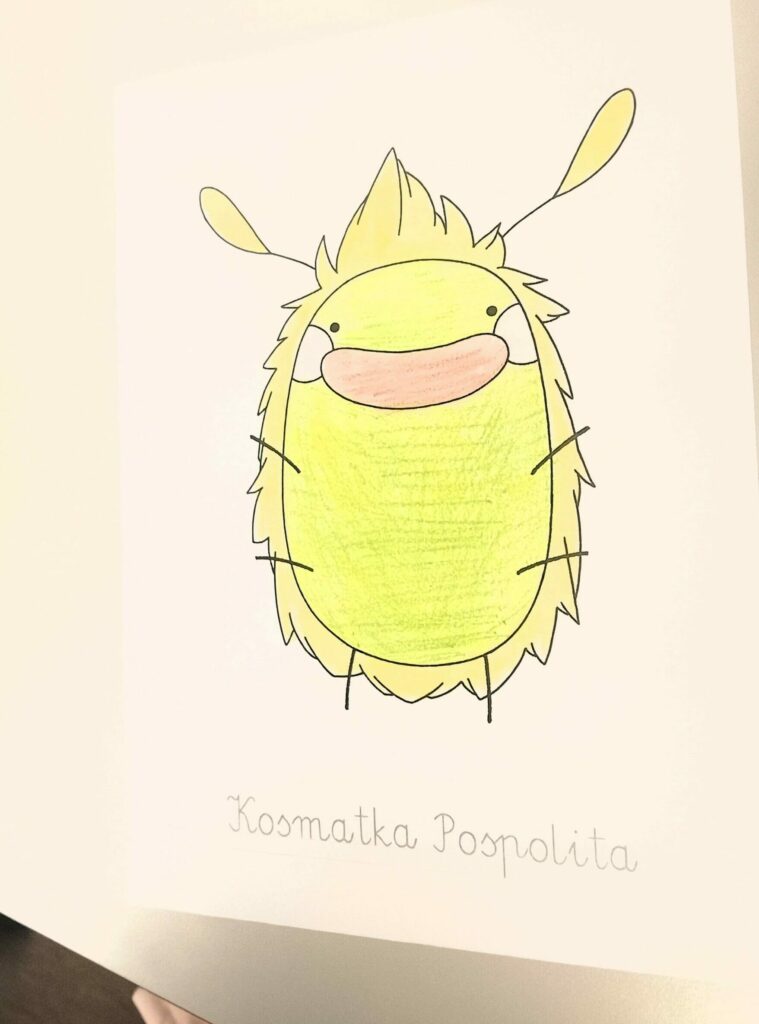 „Turlając kulkę pod górkę" – lekcja empatii i współpracy z Żuczkami