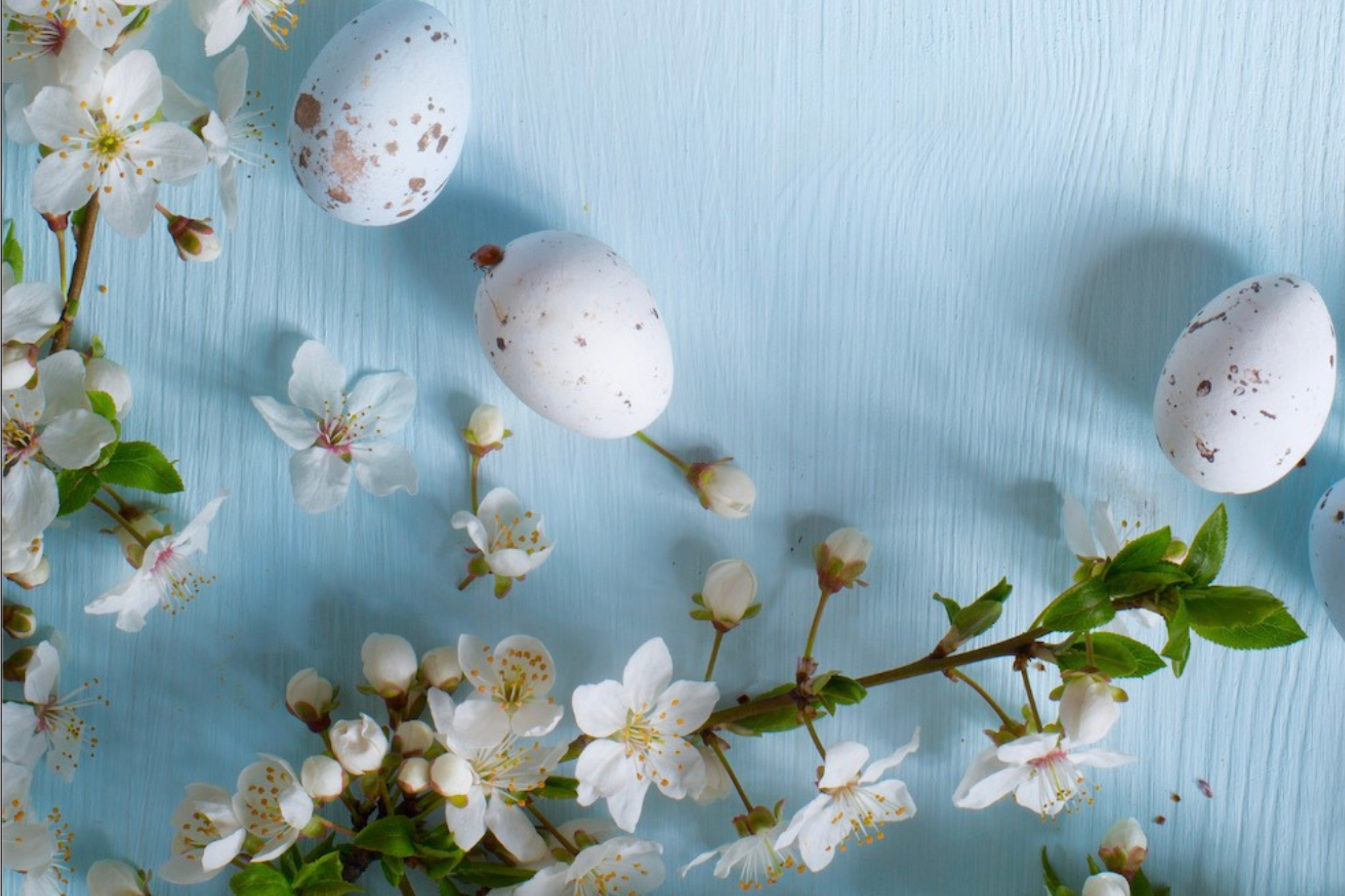 Świąteczne Życzenia