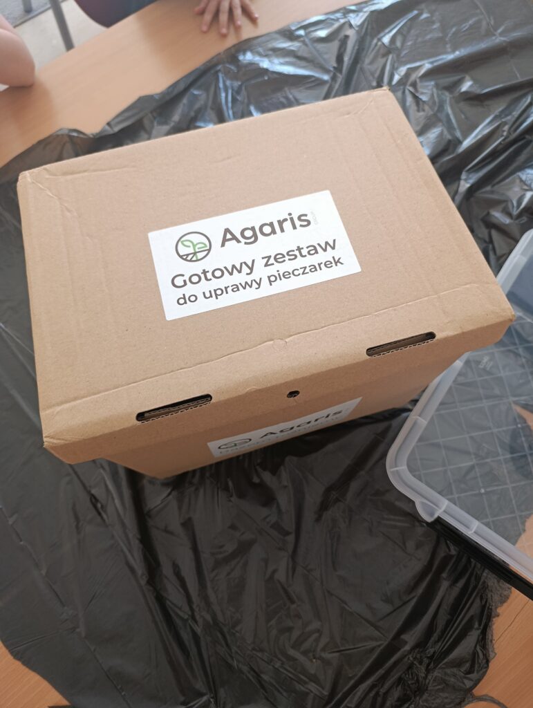 Uczniowie klasy 1d wzięli udział w programie „Pieczarki z klasą" 