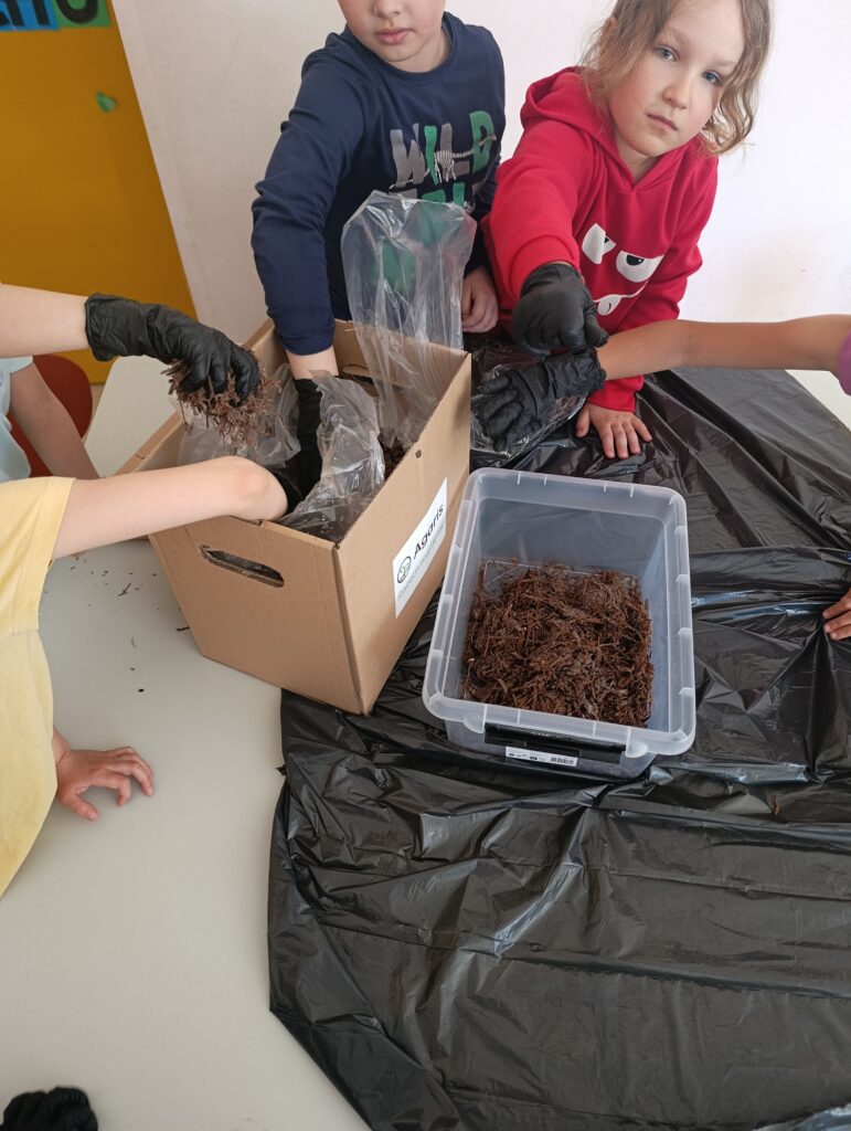 Uczniowie klasy 1d wzięli udział w programie „Pieczarki z klasą"