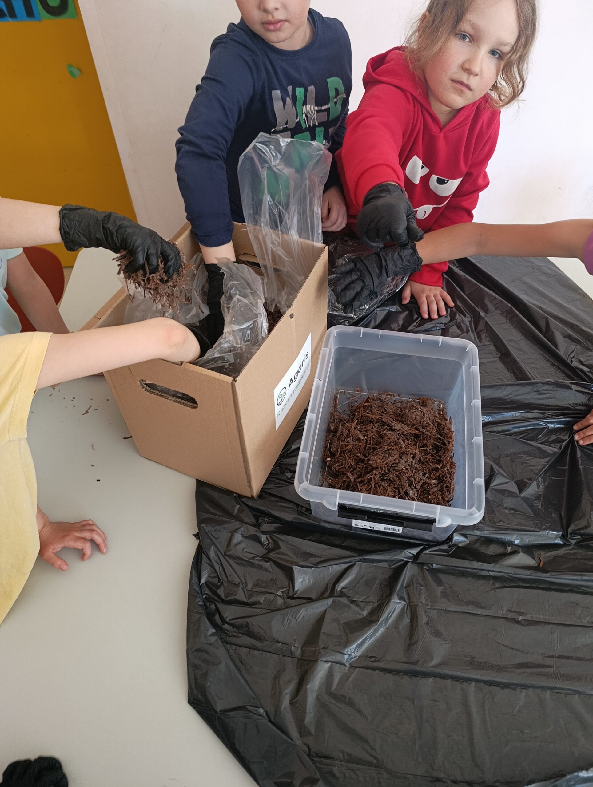 Uczniowie klasy 1d wzięli udział w programie „Pieczarki z klasą"