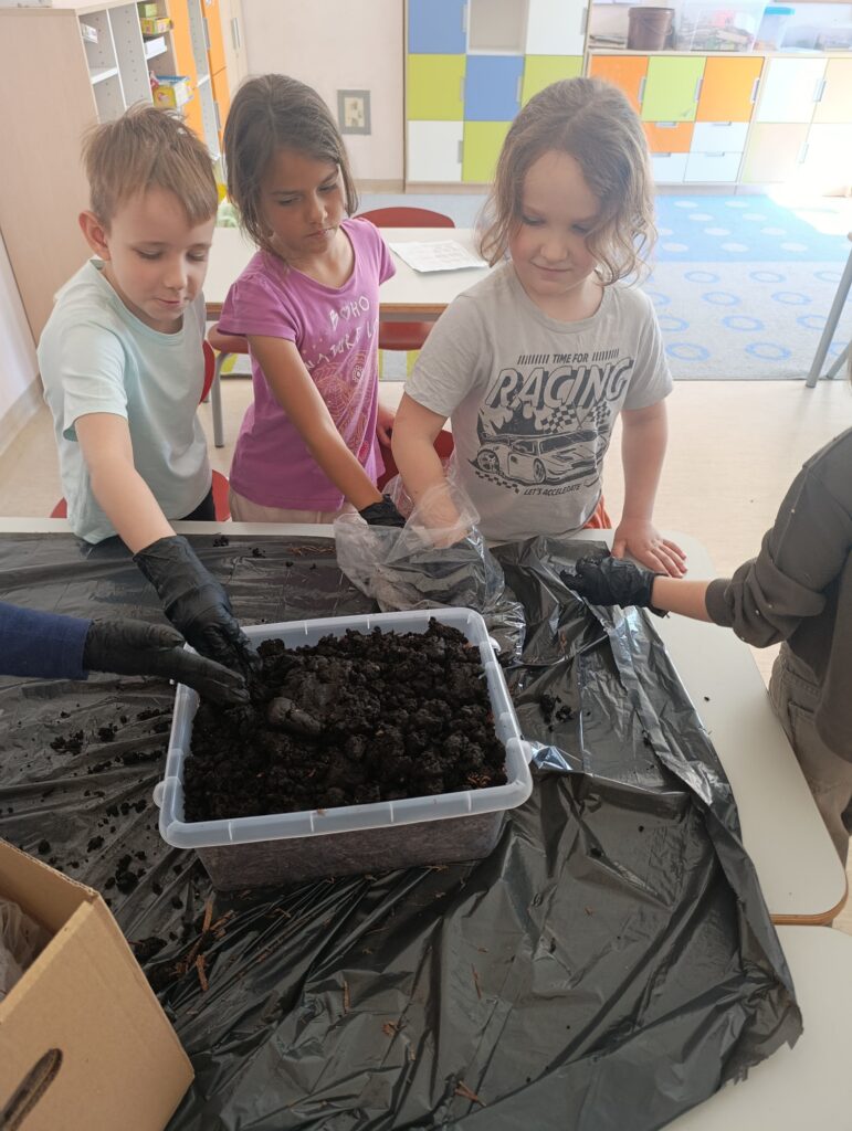 Uczniowie klasy 1d wzięli udział w programie „Pieczarki z klasą"