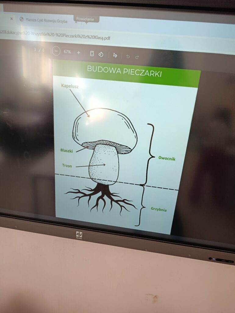 Uczniowie klasy 1d wzięli udział w programie „Pieczarki z klasą"