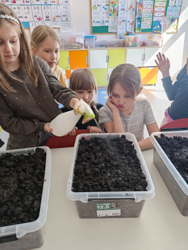 Uczniowie klasy 1d wzięli udział w programie „Pieczarki z klasą"