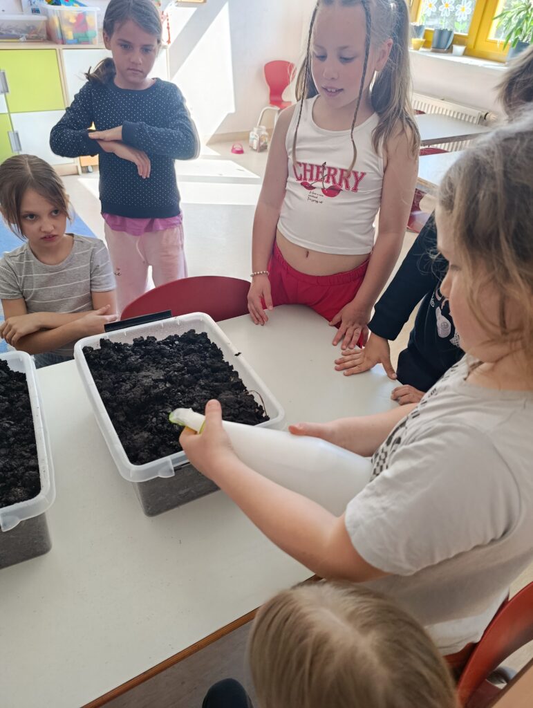 Uczniowie klasy 1d wzięli udział w programie „Pieczarki z klasą"