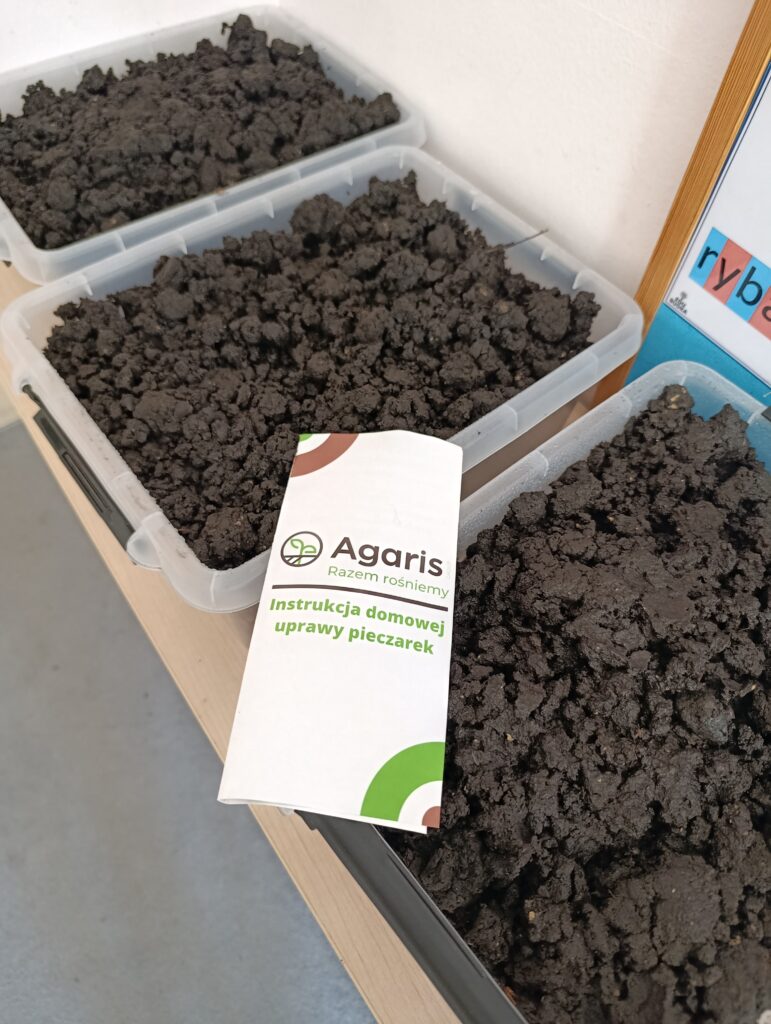 Uczniowie klasy 1d wzięli udział w programie „Pieczarki z klasą"