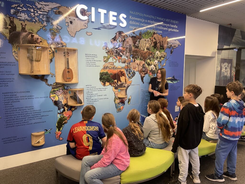 Zielona Szkoła klas 3c i 3d