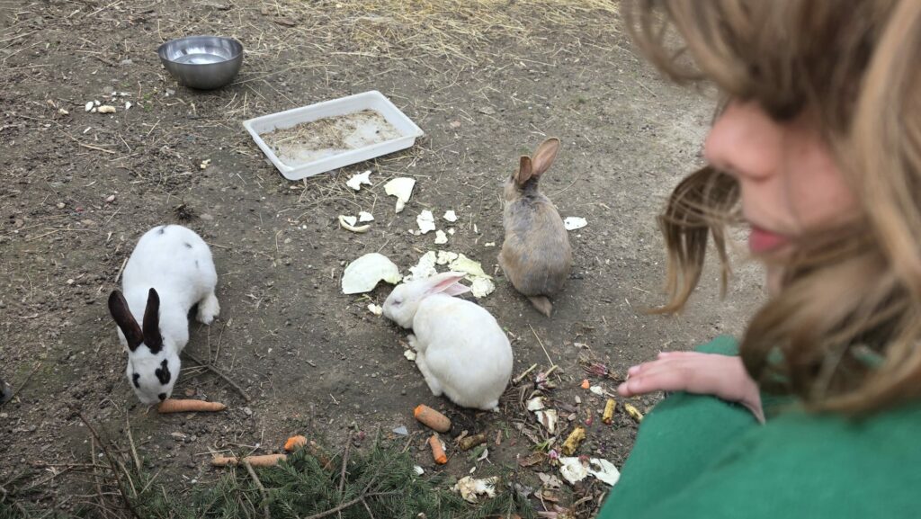 Zielona Szkoła klas 3c i 3d 