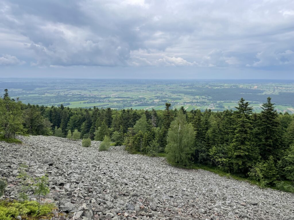 Zielona szkoła klas 7a, 7c, 7e i 8a