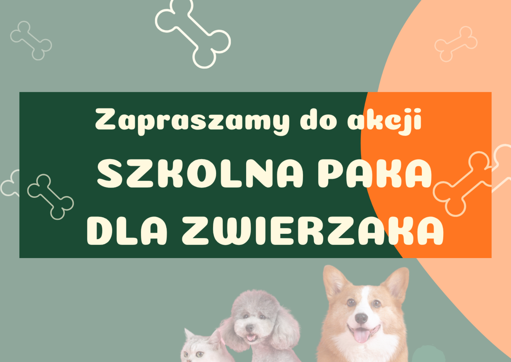 PAŹDZIERNIK – MIESIĄC DOBROCI DLA ZWIERZĄT! POMAGAMY!